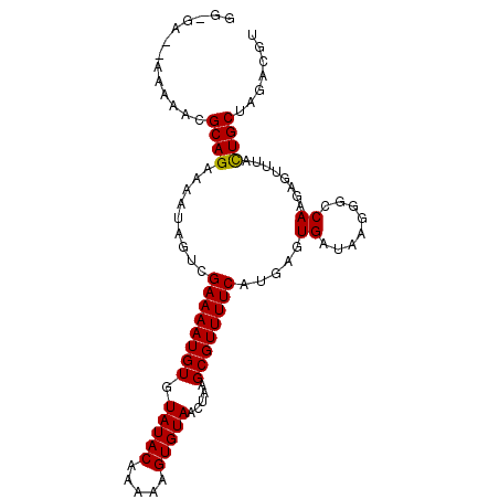 secondary structure
