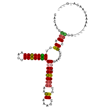 secondary structure
