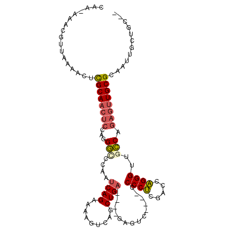 secondary structure