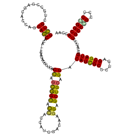 secondary structure