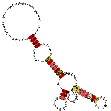 secondary structure