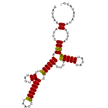 secondary structure