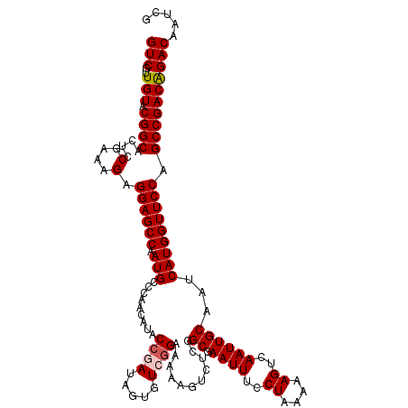 secondary structure