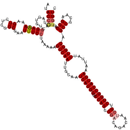 secondary structure