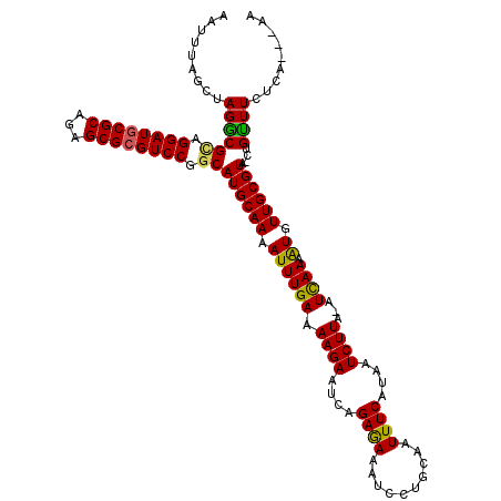 secondary structure