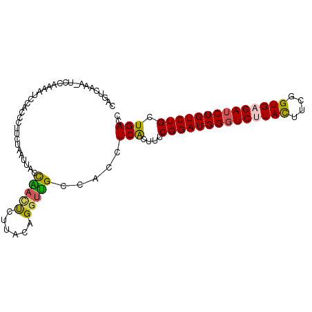 secondary structure