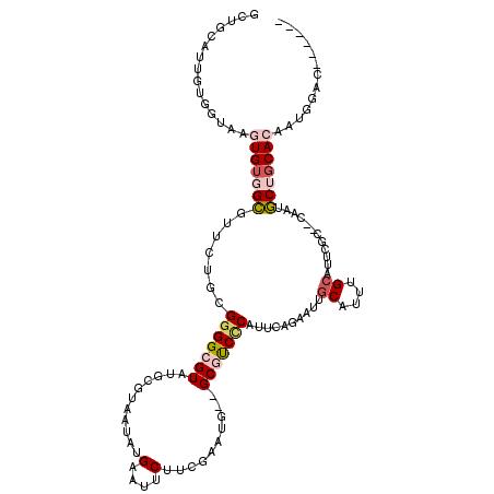 secondary structure