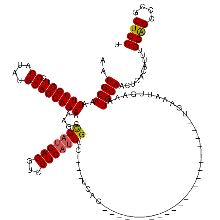 secondary structure