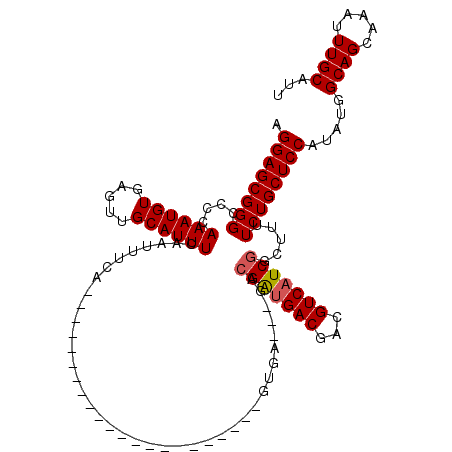 secondary structure