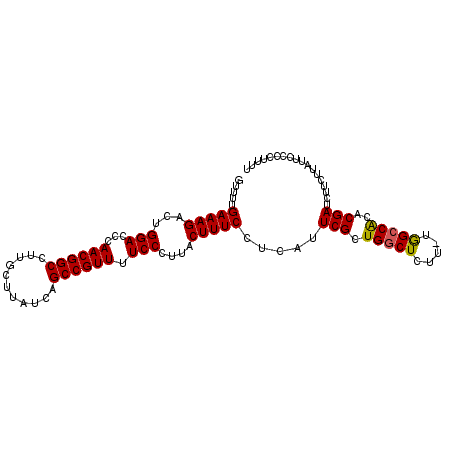 secondary structure