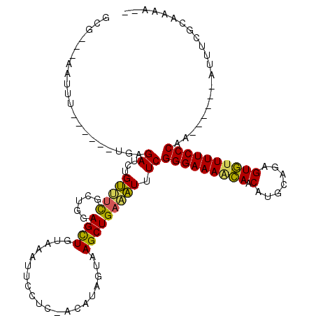secondary structure