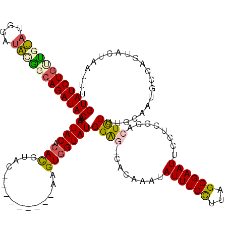 secondary structure