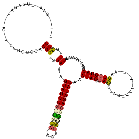 secondary structure