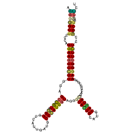 secondary structure