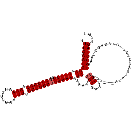 secondary structure