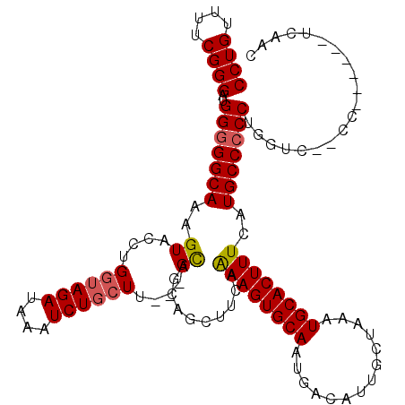 secondary structure