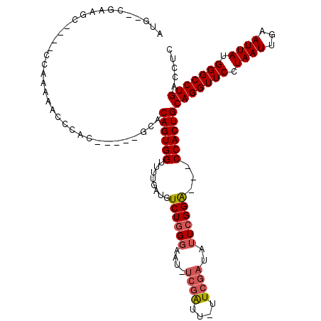 secondary structure