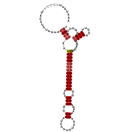 secondary structure