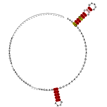 secondary structure