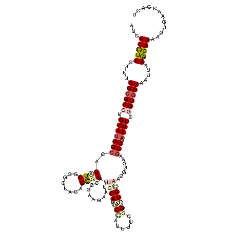 secondary structure