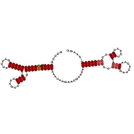 secondary structure