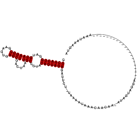 secondary structure