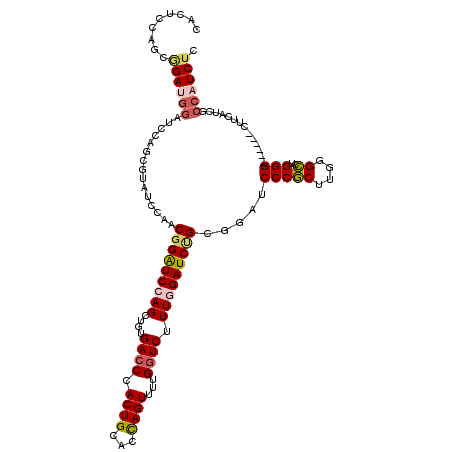 secondary structure