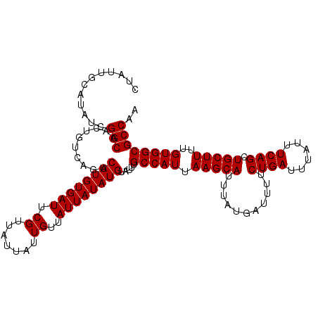 secondary structure