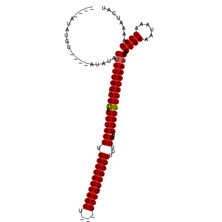secondary structure