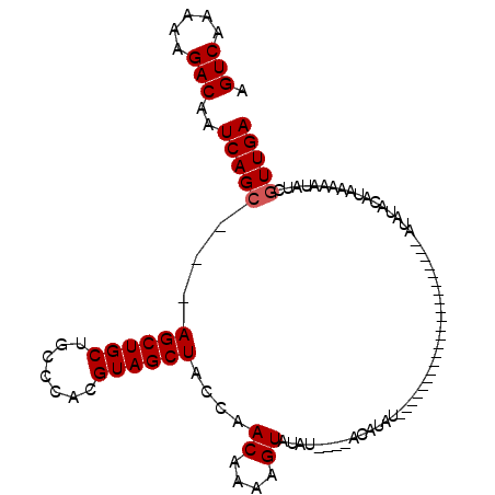 secondary structure