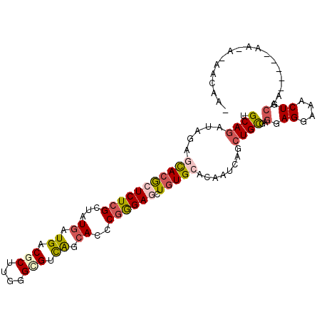 secondary structure