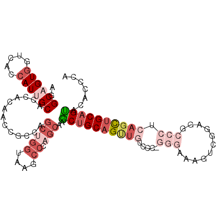 secondary structure