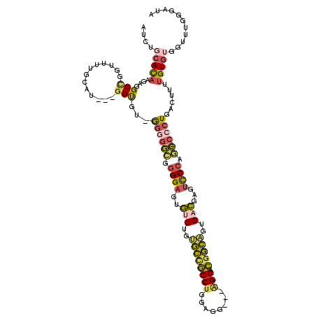 secondary structure