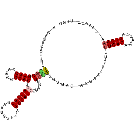 secondary structure