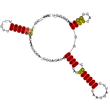 secondary structure