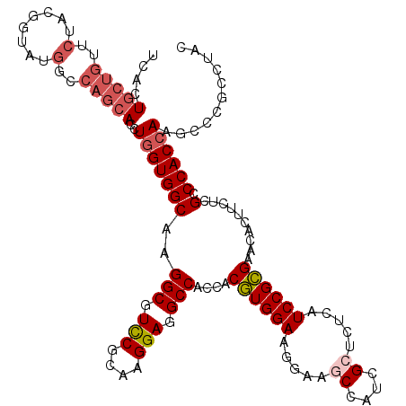 secondary structure