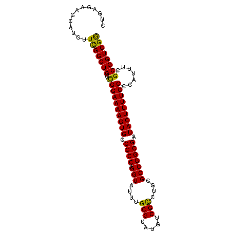secondary structure