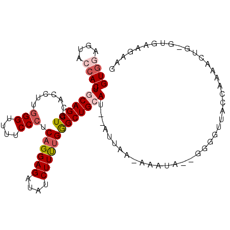 secondary structure