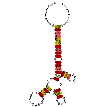 secondary structure