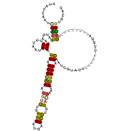 secondary structure