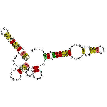 secondary structure