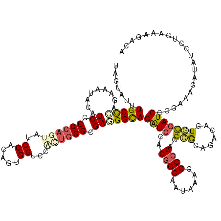 secondary structure
