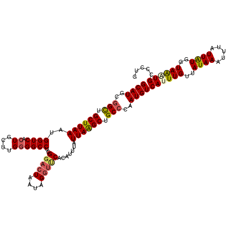 secondary structure