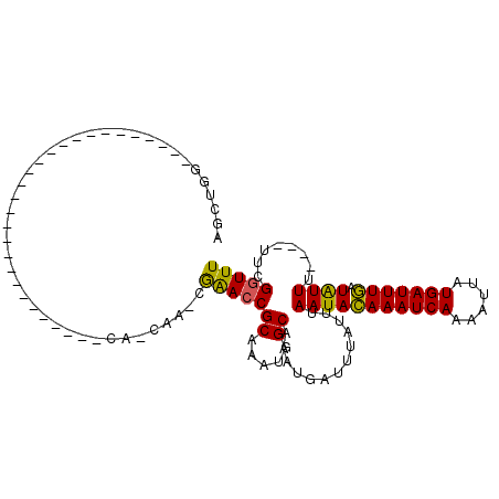 secondary structure