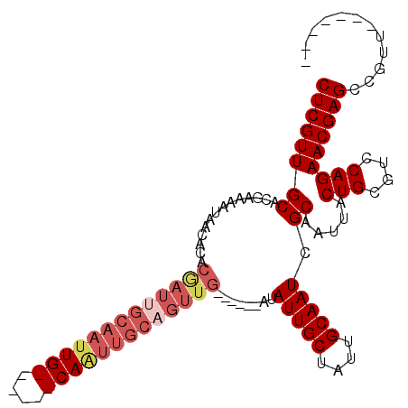 secondary structure
