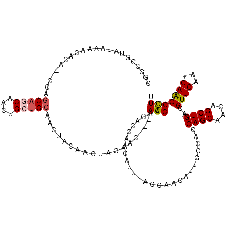 secondary structure