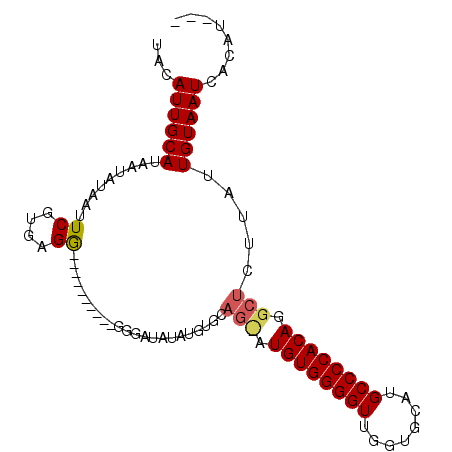 secondary structure