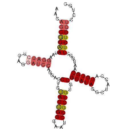 secondary structure