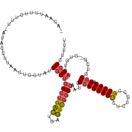 secondary structure