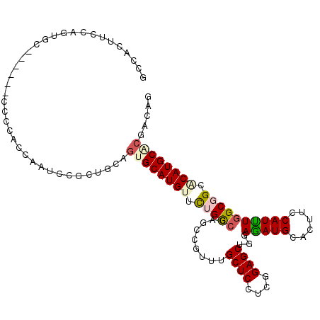 secondary structure